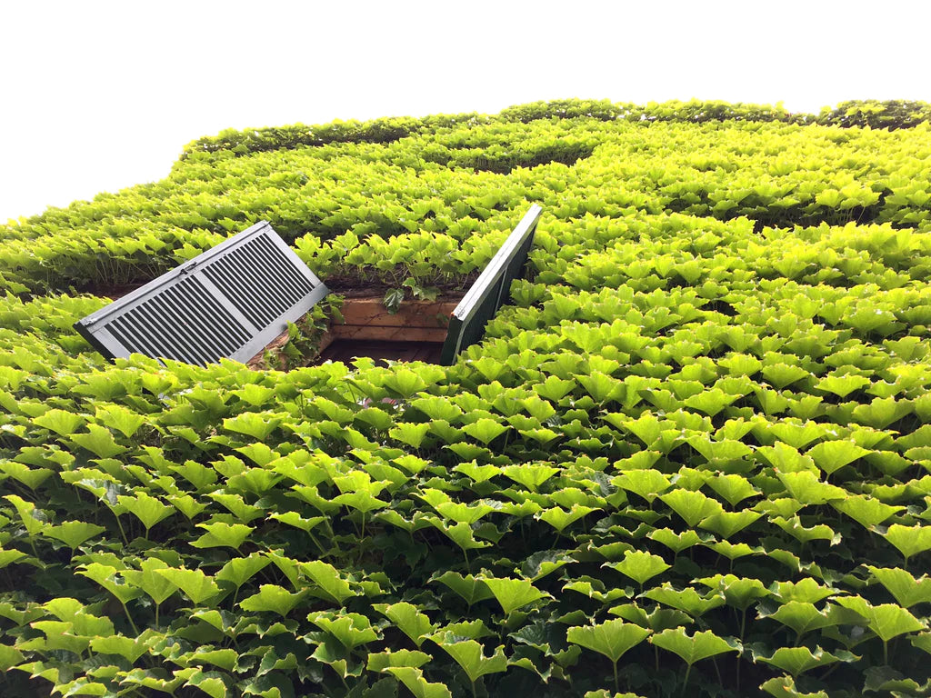 20 Soul-Enriching Things You Can Do At Home Right Now