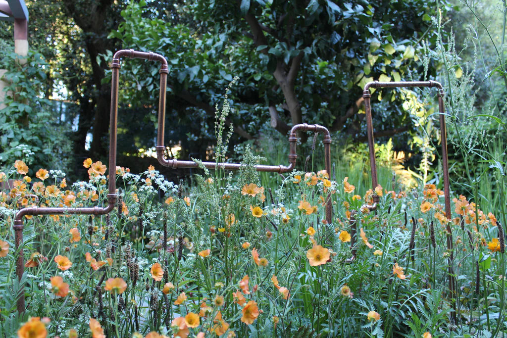 Ingredients To Avoid